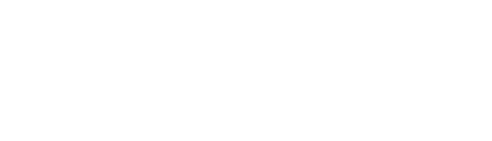 IGO / Invest Group Overseas logo